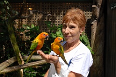 0723 Birdworld Kuranda